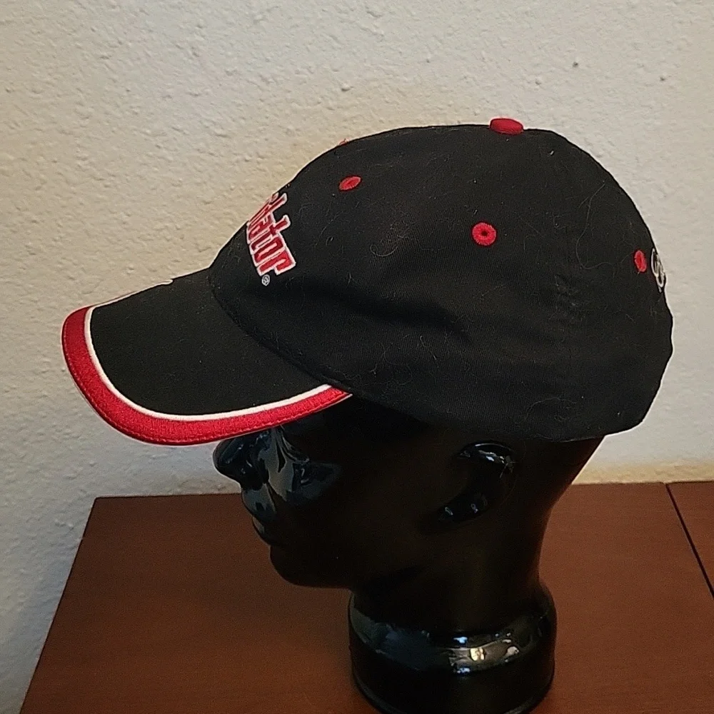 #3 Dale Earnhardt "the intimator" signature hat - Picture 3 of 7